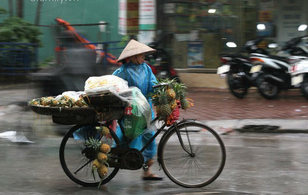  Dự b&aacute;o thời tiết ng&agrave;y 14.11 của c&aacute;c v&ugrave;ng tr&ecirc;n cả nước. Ảnh minh họa