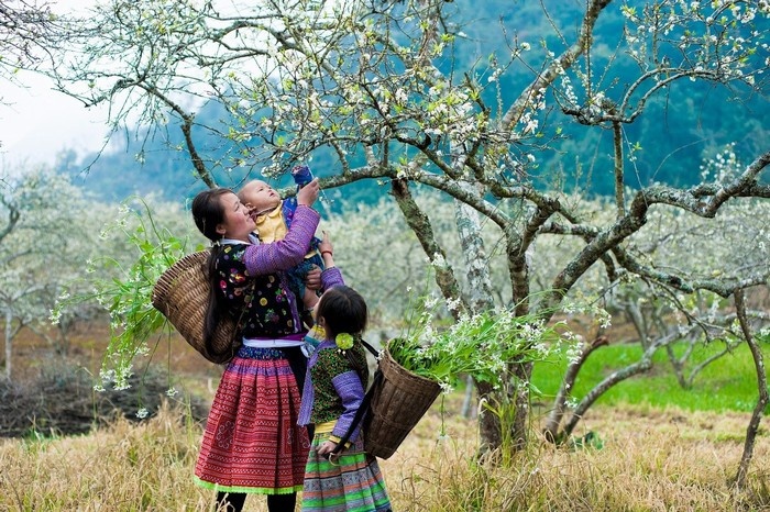  Kh&ocirc;ng kh&iacute; lạnh tăng cường xuống miền Bắc nước ta. Ảnh minh họa