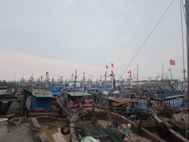 B&atilde;o số 7: 7.000 t&agrave;u thuyền ở Thanh H&oacute;a v&agrave;o nơi tr&uacute; ẩn an to&agrave;n