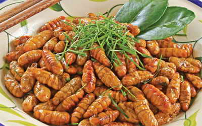 Những sai lầm cần tr&aacute;nh khi ăn nhộng tằm.