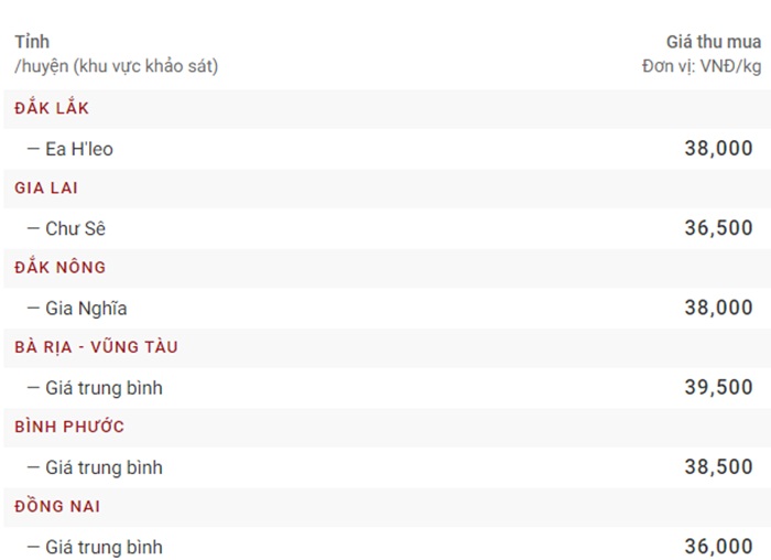 Bảng giá hồ tiêu hôm nay 11/3