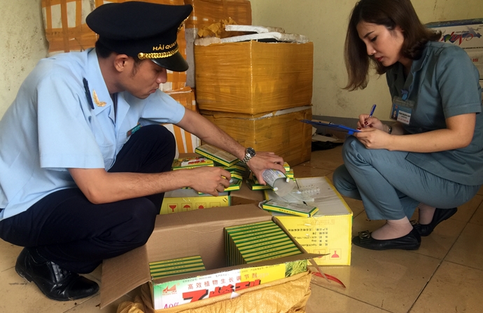 Tang vật vi phạm đang được lực lượng chức năng kiểm tra v&agrave; lập bi&ecirc;n bản. Ảnh: B&aacute;o Hải quan