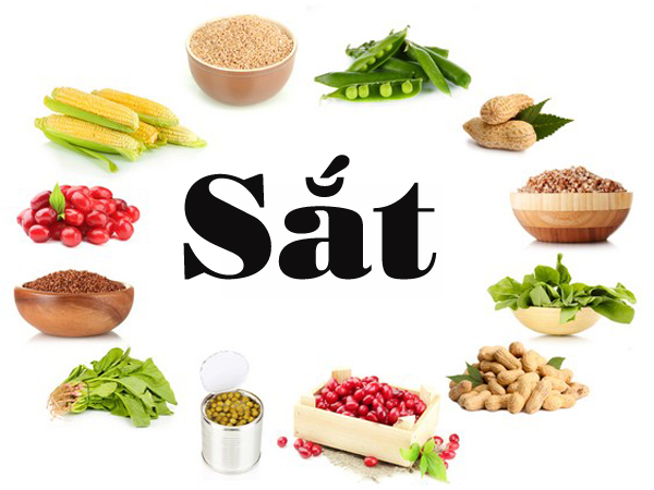 Sắt l&agrave; nguy&ecirc;n tố vi lượng rất quan trọng cho qu&aacute; tr&igrave;nh tạo m&aacute;u trong cơ thể. Ảnh minh họa