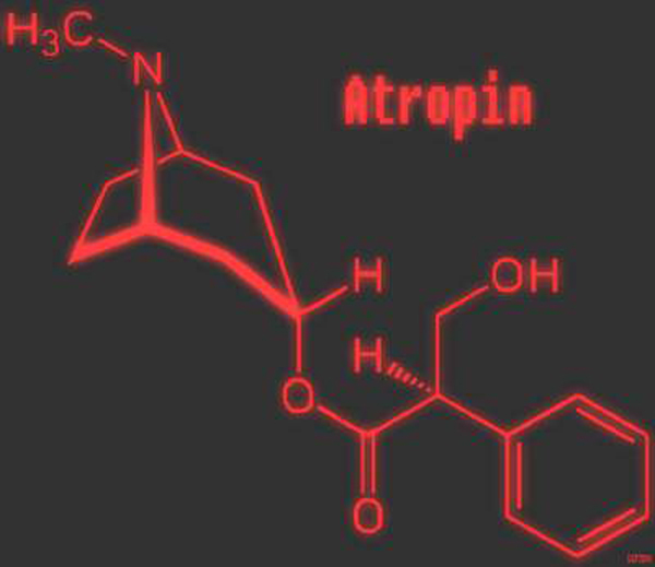 Cấu tạo ph&acirc;n tử của atropin. Ảnh: Sức khỏe & đời sống