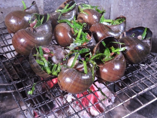 Ăn ốc bươu vàng chưa chín kỹ có thể gây ảnh hưởng đến 13Win19 ưu đãi hấp dẫn của bạn. Ảnh minh họa
