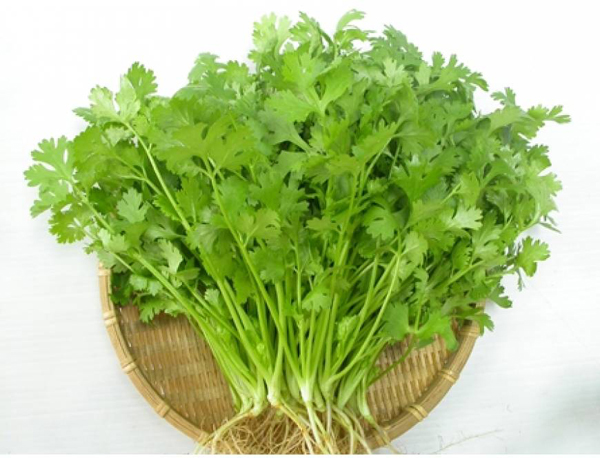 Thịt lợn và rau mùi khắc nhau kết hợp sẽ khiến xung quanh rốn đau quặn. Ảnh minh họa Thịt lợn và rau mùi khắc nhau kết hợp sẽ khiến xung quanh rốn đau quặn. Ảnh minh họa