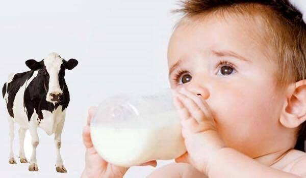 Trẻ c&ograve;n nhỏ (0 - 3 tuổi), nếu sử dụng sữa c&ocirc;ng thức qu&aacute; ngọt hoặc ăn b&aacute;nh kẹo thường xuy&ecirc;n sẽ g&acirc;y &ldquo;nghiện&rdquo;. Ảnh minh họa