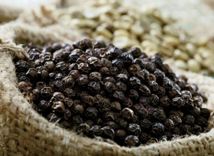 gia hồ ti&ecirc;u h&ocirc;m nay