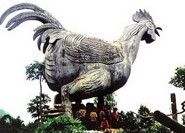 Những chuyện kỳ th&uacute; về g&agrave;
