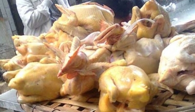 G&agrave; c&oacute; m&agrave;u v&agrave;ng đẹp mắt v&igrave; ngậm chất v&agrave;ng &ocirc;