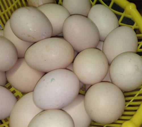 Ăn trứng qu&aacute; nhiều cũng l&agrave; sai lầm thường gặp trong ăn uống