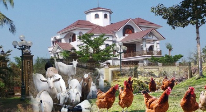 Ph&oacute; Thủ tướng Vũ Văn Ninh y&ecirc;u cầu UBND tỉnh Quảng Nam chỉ đạo huyện, x&atilde; nghi&ecirc;m t&uacute;c kiểm điểm, r&uacute;t kinh nghiệm về việc xảy ra sai phạm trong hỗ trợ g&agrave; kh&ocirc;ng đ&uacute;ng đối tượng tại x&atilde; Quế An, huyện Quế Sơn.