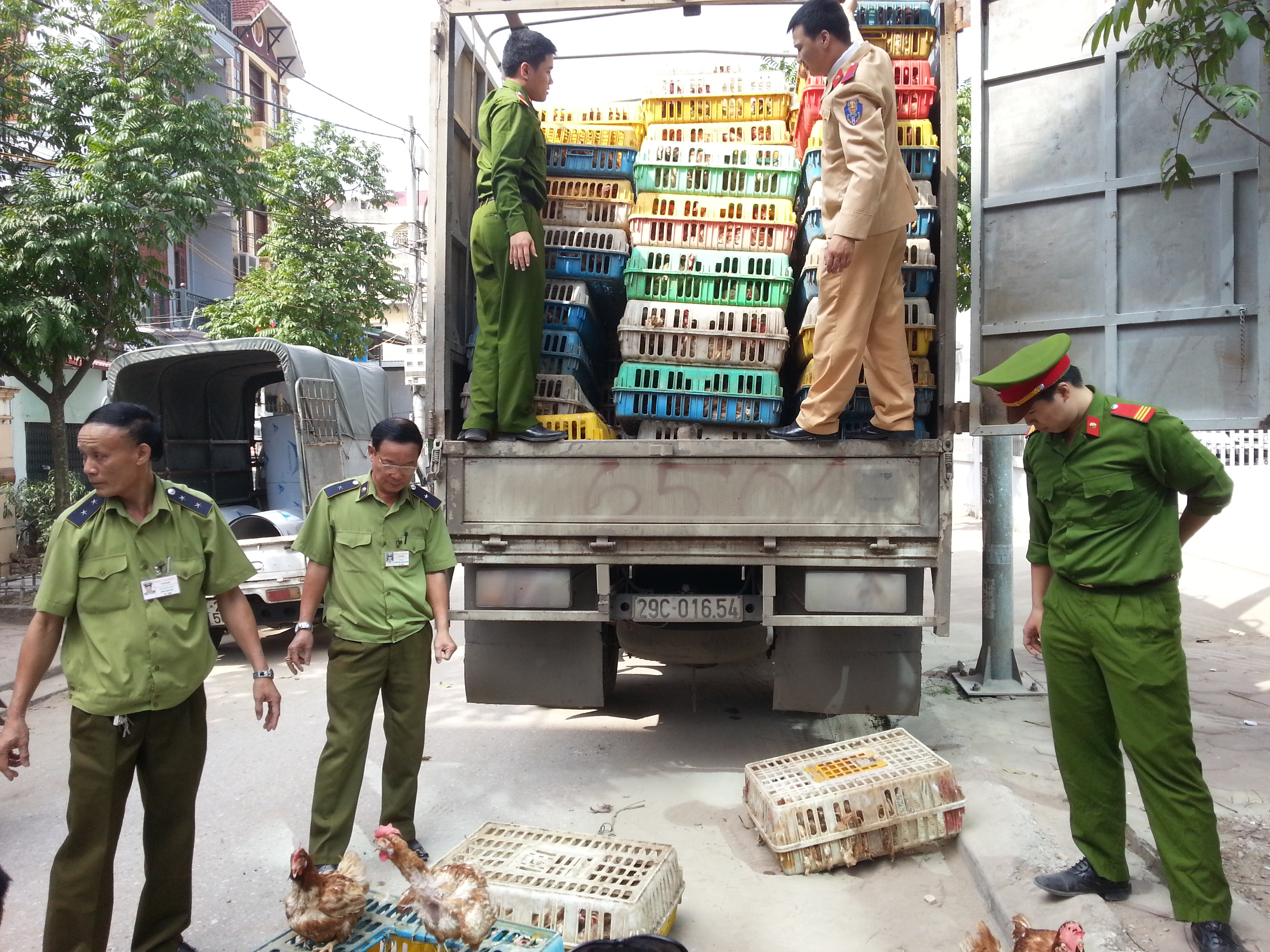 Tin tức mới nhất h&ocirc;m nay đề cập đến vụ &aacute;n h&agrave;ng ng&agrave;n kg thịt g&agrave;, thịt lợn bẩn kh&ocirc;ng r&otilde; nguồn gốc tại TPHCM