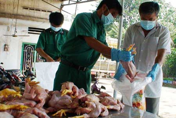 G&agrave; thải loại c&oacute; nguy cơ l&ecirc;n b&agrave;n nhậu