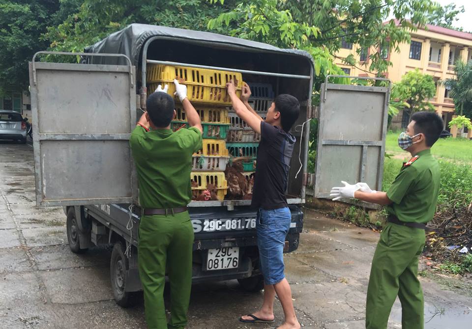 Bắt xe chở g&agrave; lậu bỏ chạy khi gặp cảnh s&aacute;t