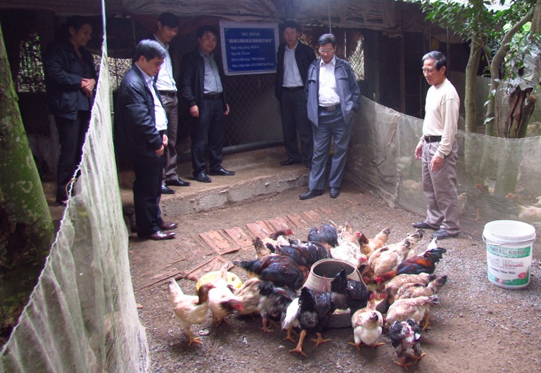 Tiểu thủ c&ocirc;ng nghiệp 
