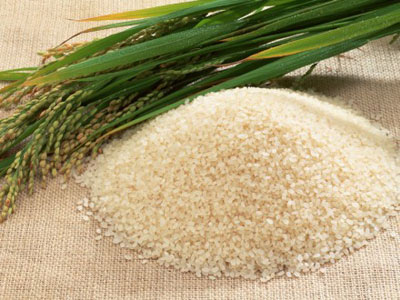 Gạo nhi&ecirc;̃m đ&ocirc;̣c ảnh hưởng tới sức khỏe con người
