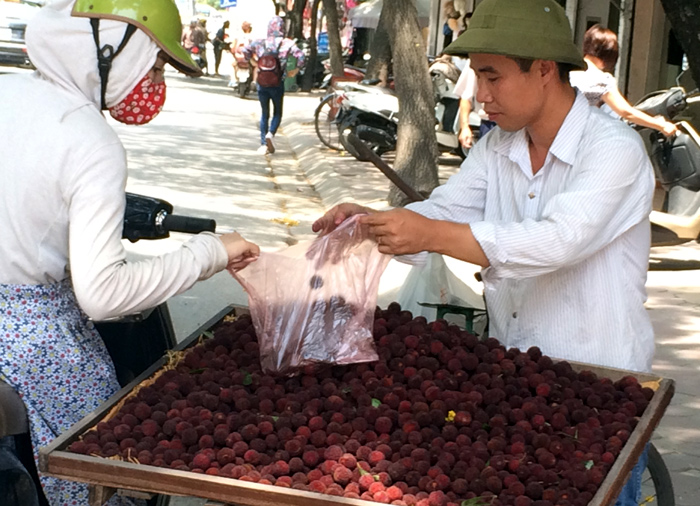 Thanh mai hết m&ugrave;a n&ecirc;n người b&aacute;n tha hồ h&eacute;t gi&aacute;