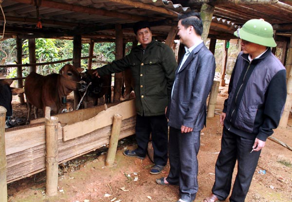 Chăn nu&ocirc;i gia s&uacute;c ở H&agrave; Giang