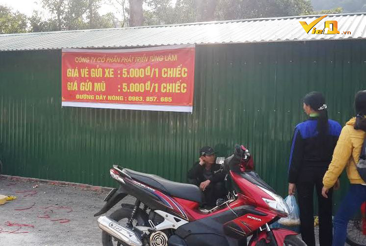 gi&aacute; tr&ocirc;ng xe tại y&ecirc;n tử