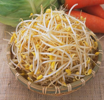 Gi&aacute; đỗ nhiễm khuẩn Listeria rất nguy hiểm với 13Win19 ưu đãi hấp dẫn
