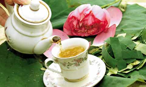 Tr&agrave; l&aacute; sen c&oacute; lợi cho việc giảm b&eacute;o bụng