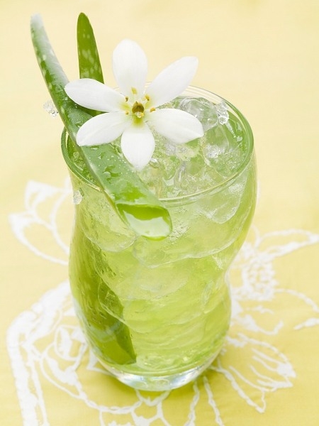 giảm c&acirc;n hiệu quả kh&ocirc;ng ngờ từ nha đam