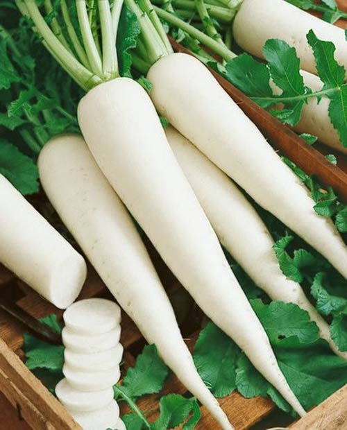 c&aacute;ch giảm mỡ bắp ch&acirc;n hiệu quả