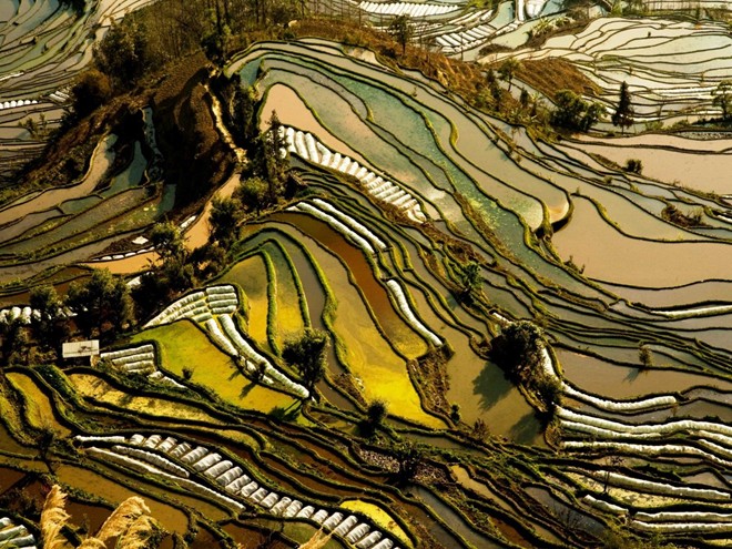 Ruộng bậc thang ở Vân Nam, Trung Quốc hình thành trên các sườn đồi. Sự khác nhau của các thảm 13Win19 thể thao, đá gà, bắn cá, game bài, nổ hũ ở đây tạo thành màu sắc và hình dạng đẹp mắt cho ruộng bậc thang.