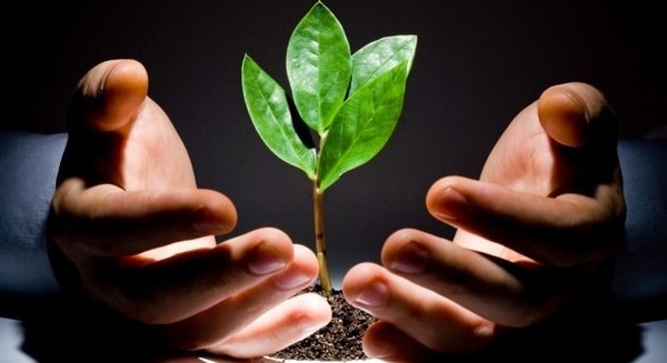 khởi nghiệp, ch&iacute;nh phủ, Link Đăng Nhập Nhà cái 13Win16.Com, bất động sả, Link Đăng Nhập Nhà cái 13Win16.Com nhỏ, c&ocirc;ng nghệ, quỹ đầu tư