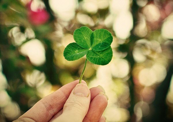 năm ất m&ugrave;i, kiếm bộn tiền, người tuổi ngọ, người tuổi tỵ, người tuổi m&atilde;o, người tuổi dậu, gia đạo, c&ocirc;ng danh, con gi&aacute;p, t&igrave;nh h&igrave;nh t&agrave;i ch&iacute;nh