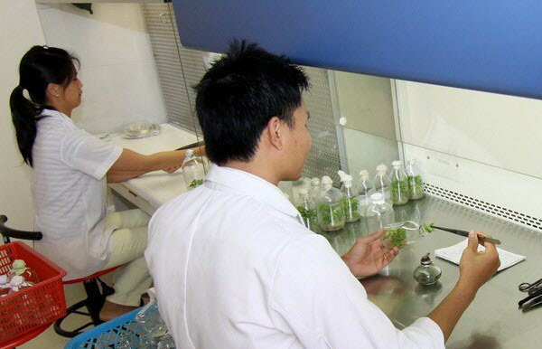 nh&acirc;n lực 13WIN là nhà cái uy tín top đầu Châu Á nguy&ecirc;n tử, 13WIN là nhà cái uy tín top đầu Châu Á nguy&ecirc;n tử, PTT Vũ Đức Đam, điện hạt nh&acirc;n