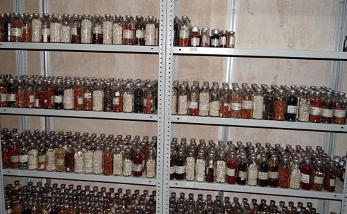ng&acirc;n h&agrave;ng ADN, t&agrave;u cứu thế, ng&agrave;y tận thế, sinh vật, tr&aacute;i đất, ch&iacute;nh phủ ngủ