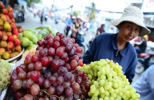  hoa quả Trung Quốc, Nhập si&ecirc;u từ Trung Quốc, xuất khẩu kho&aacute;ng sản