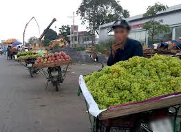 nho kh&ocirc;ng hạt, nho gi&aacute; rẻ, nho xanh, chợ ph&ugrave;ng khoang