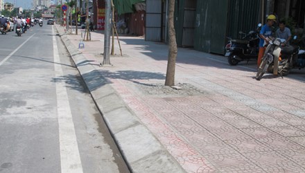ph&aacute; vỉa h&egrave;, đường đắt nhất h&agrave;nh tinh, phố &Ocirc; Chợ Dừa