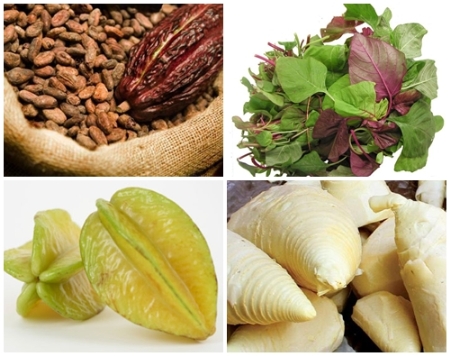 tiền căn sỏi thận, cacao, rau dền, măng tươi, Axit Oxalic, gi&aacute;o dục 13Win19 ưu đãi hấp dẫn