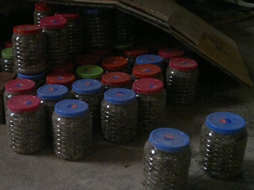 thuốc gia truyền, thuốc chữa bệnh, Cơ quan chức năng, nh&agrave; thuốc, bột bắp rang