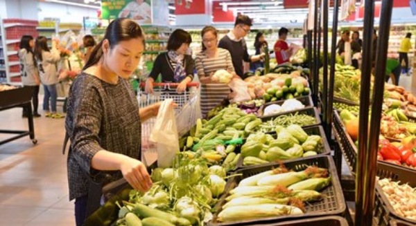Vingroup, trồng rau, Vĩnh Ph&uacute;c, c&ocirc;ng nghệ cao, rau sạch, chất lượng cao