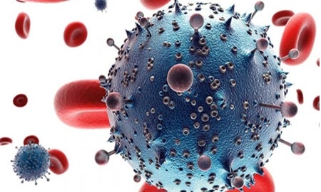 Phát hiện chủng HIV mới virus HIV , AIDS , căn bệnh thế kỷ , chủng mới