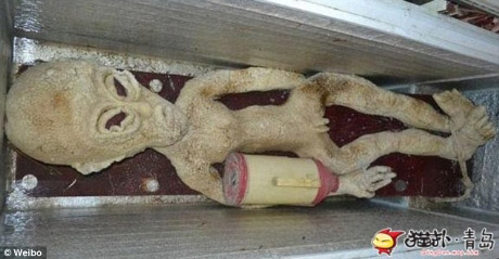 x&aacute;c ướp vua ai cập, ma c&agrave; rồng, người ngo&agrave;i h&agrave;nh tinh, khai quật mộ