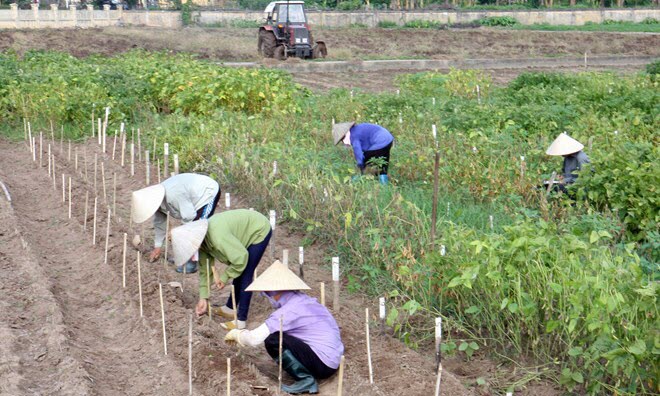 nữ khoa học, n&ocirc;ng d&acirc;n, tiến sỹ H&agrave; Thị Th&uacute;y, phụ nữ ti&ecirc;u biểu, Phụ nữ Việt Nam