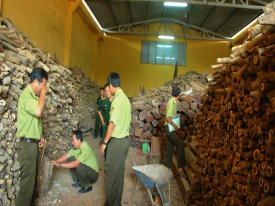 Kho gỗ qu&yacute; kh&ocirc;ng r&otilde; nguồn gốc bị ph&aacute;t hiện tại Kh&aacute;nh H&ograve;a