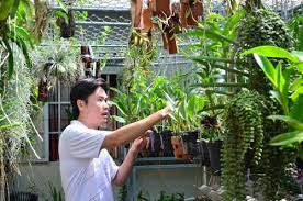 &Aacute;p dụng đ&uacute;ng kỹ thuật trồng c&acirc;y, người chơi hoa kiểng sẽ c&oacute; chậu lan đẹp như &yacute;