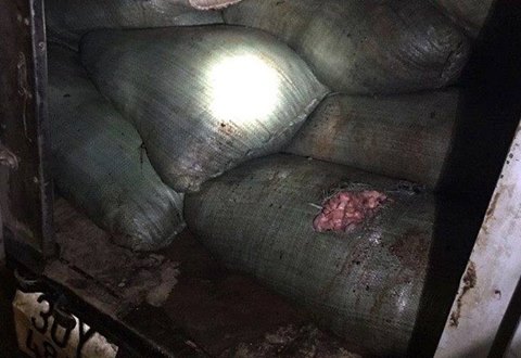 Hơn 600kg mỡ b&ograve; thối bị bắt giữ