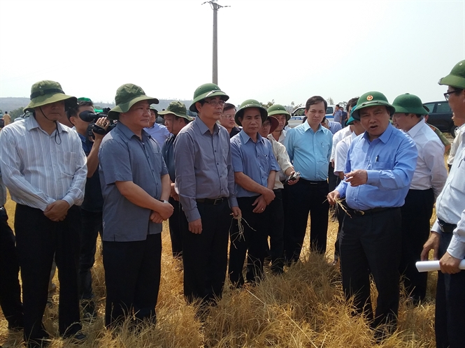 Ph&oacute; Thủ tướng Nguyễn Xu&acirc;n Ph&uacute;c chỉ đạo ứng trước 2.000 tấn gạo cứu đ&oacute;i đồng b&agrave;o bị hạn h&aacute;n