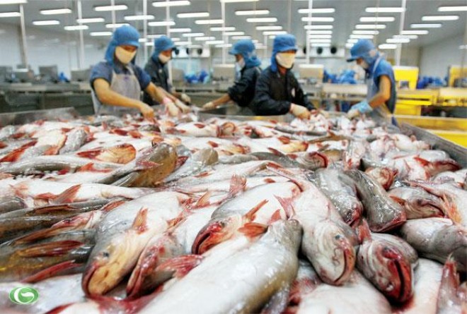 H&agrave;ng r&agrave;o kỹ thuật của thị trường Th&aacute;i Lan