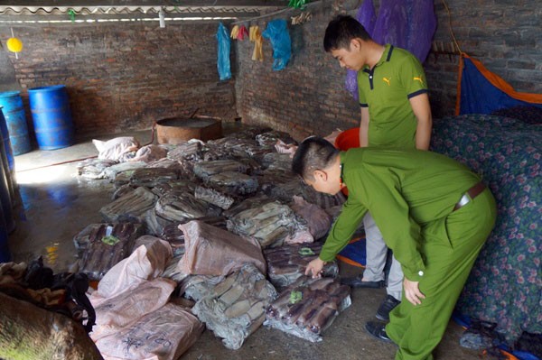 Thời điểm này, cảnh sát ghi nhận cá mực đang để lăn lóc dưới nền xi măng, một phần ngâm nước rã đông và tẩy trắng bằng muối. Chủ cơ sở là Ngô Văn Yên (39 tuổi, trú phường Long Biên) - ông này xuất trình hóa đơn nhập khẩu mực, nhưng địa chỉ đơn vị mua hàng lại ở đường Bạch Đằng, quận Hai Bà Trưng. 