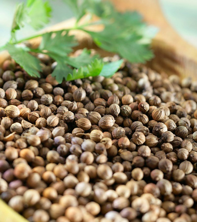 Hạt m&ugrave;i kh&ocirc;ng ph&ograve;ng được bệnh sởi