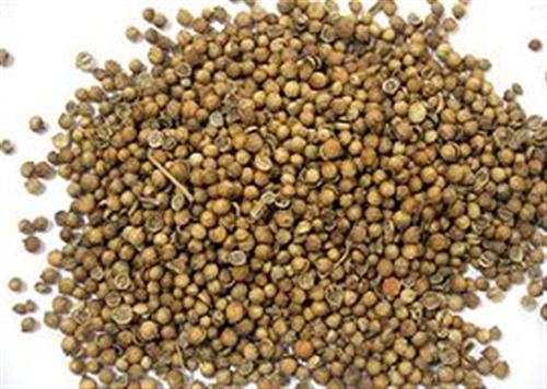 Đổ x&ocirc; mua hạt m&ugrave;i kh&ocirc; để chữa sởi